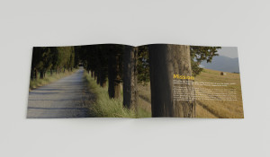 Interno 1 brochure