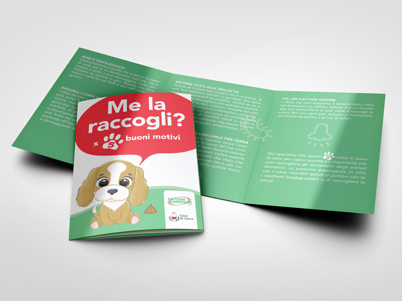 me la raccogli
